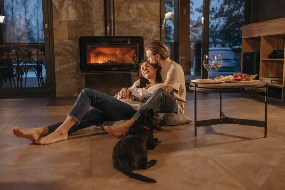Dog near a fireplace