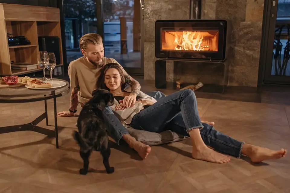 Dog near a fireplace