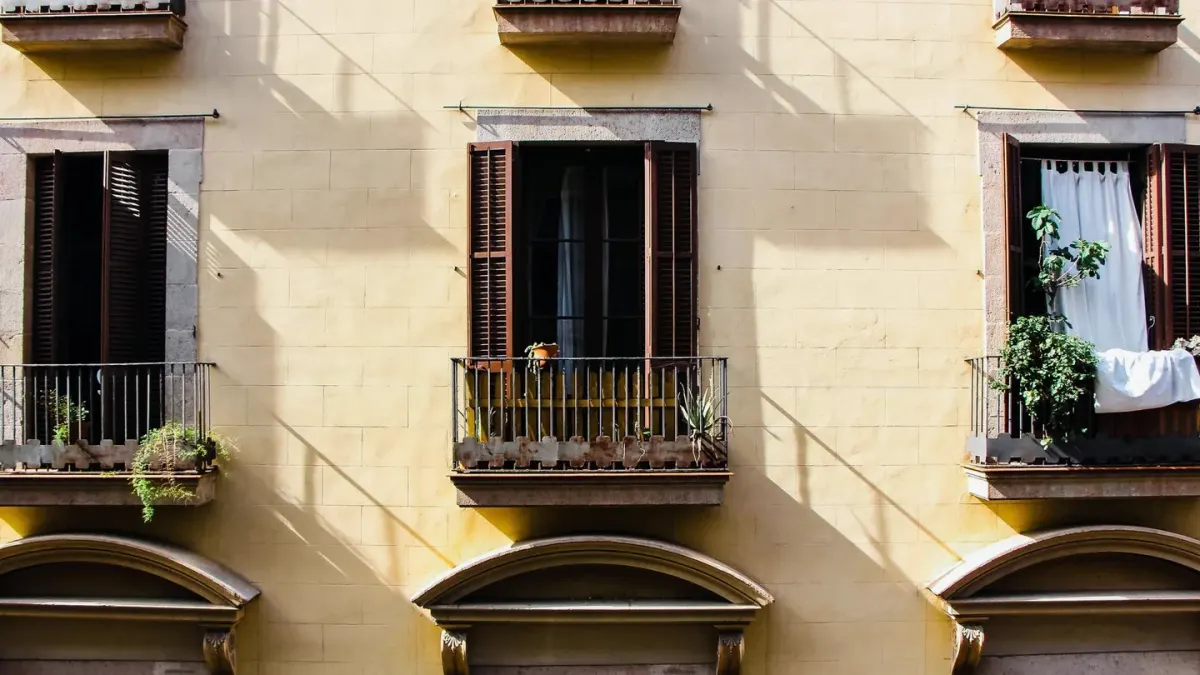 Dog on a balcony