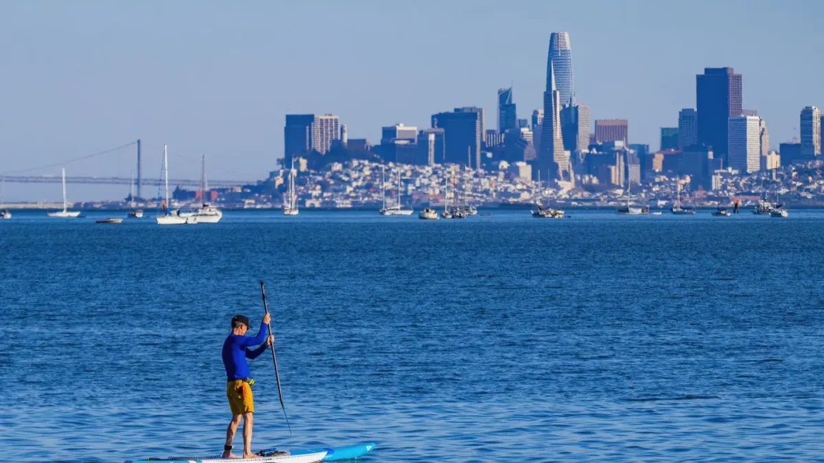 Dog on a paddleboard