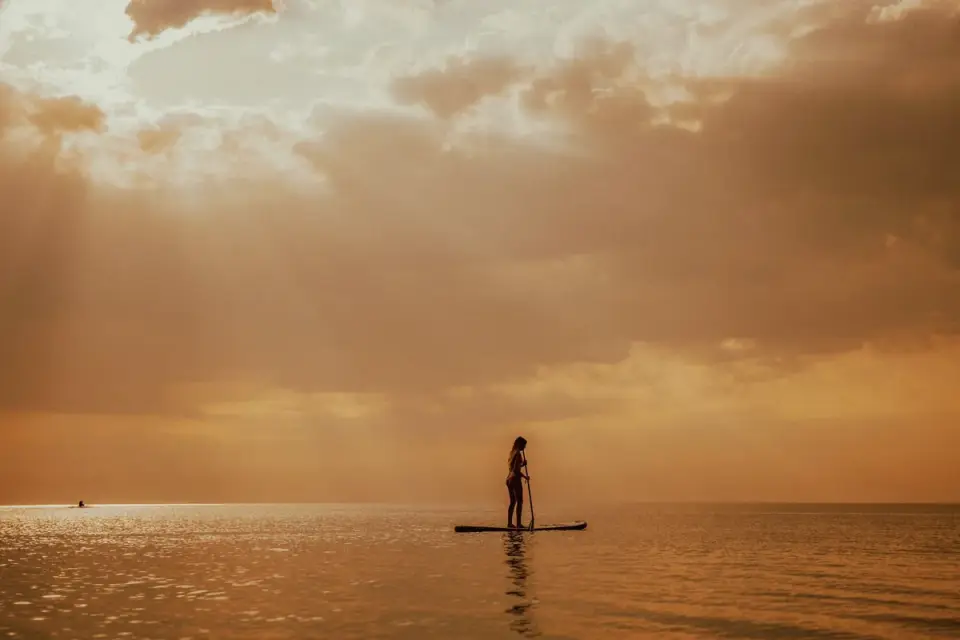 Dog on a paddleboard