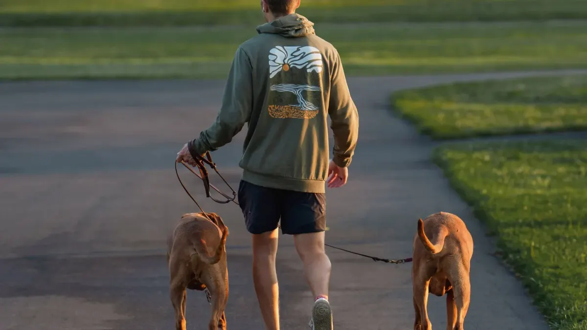 Dog walking with an owner