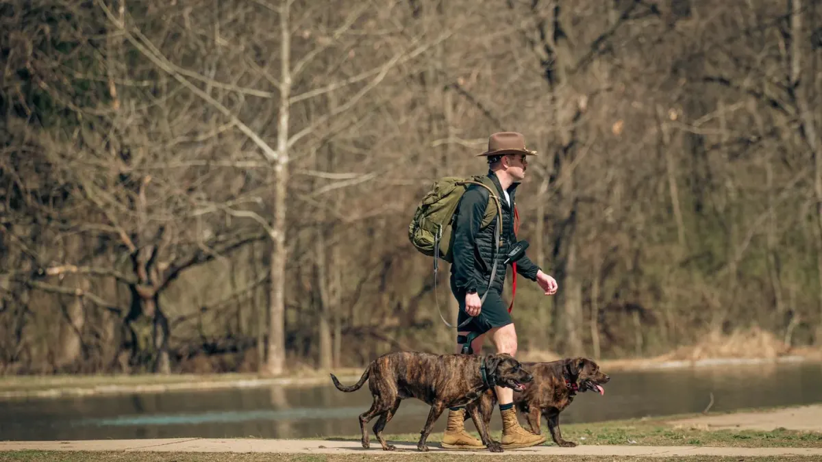Dog walking with an owner