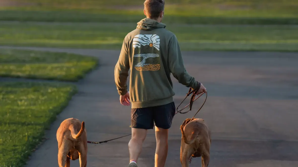 Dog walking with an owner