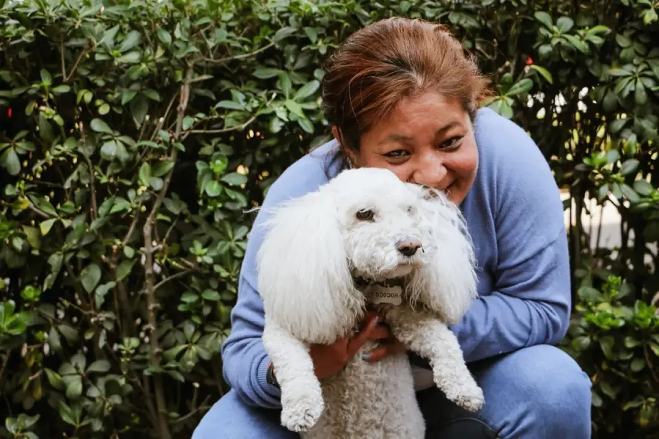 Dog with a gardening owner