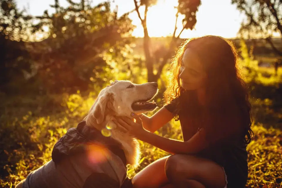 Dog with a gardening owner