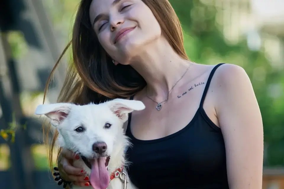 Dog with an owner