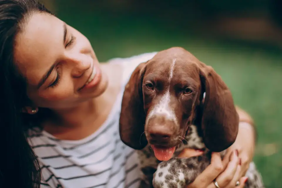 Dog with an owner