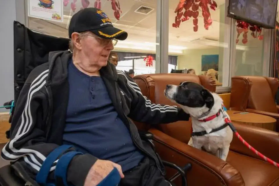 Dog with an owner at home