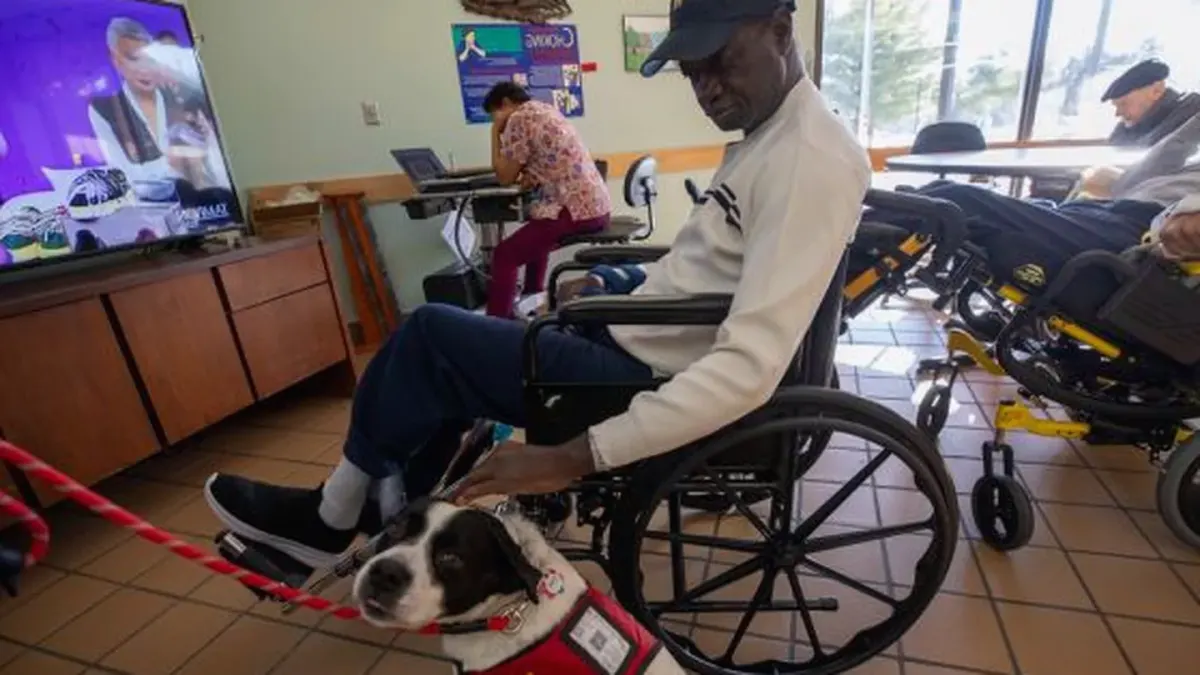 Dog with an owner at home