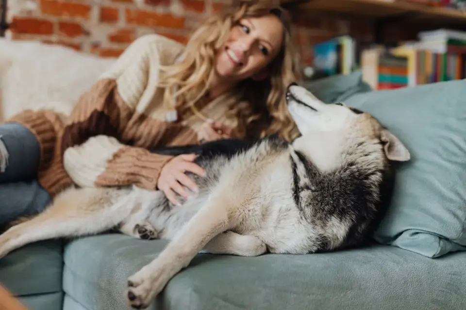 Dog with an owner at home