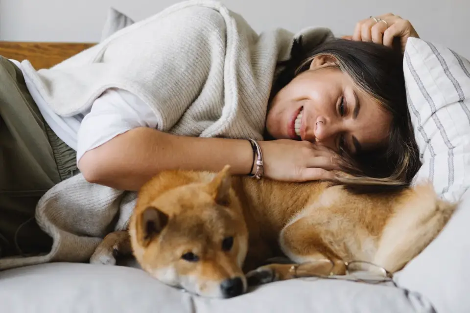 Dog with an owner at home