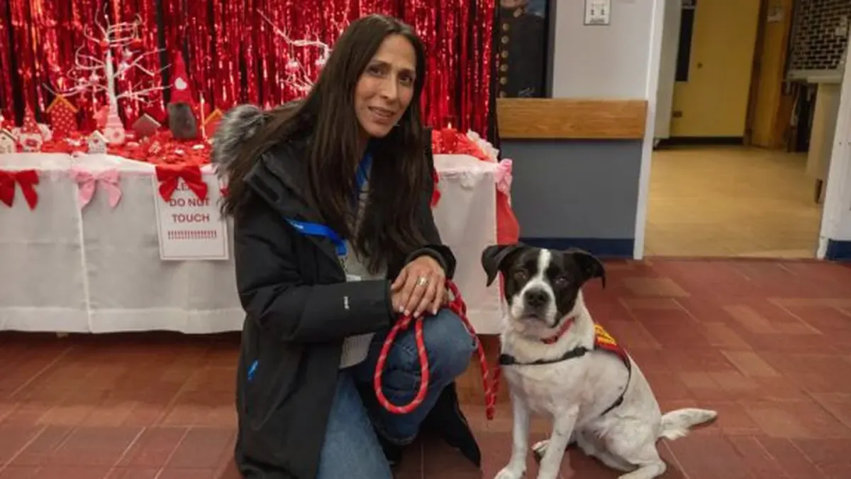 Dog with an owner at home