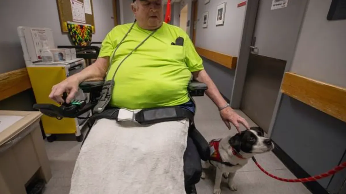 Dog with an owner at home