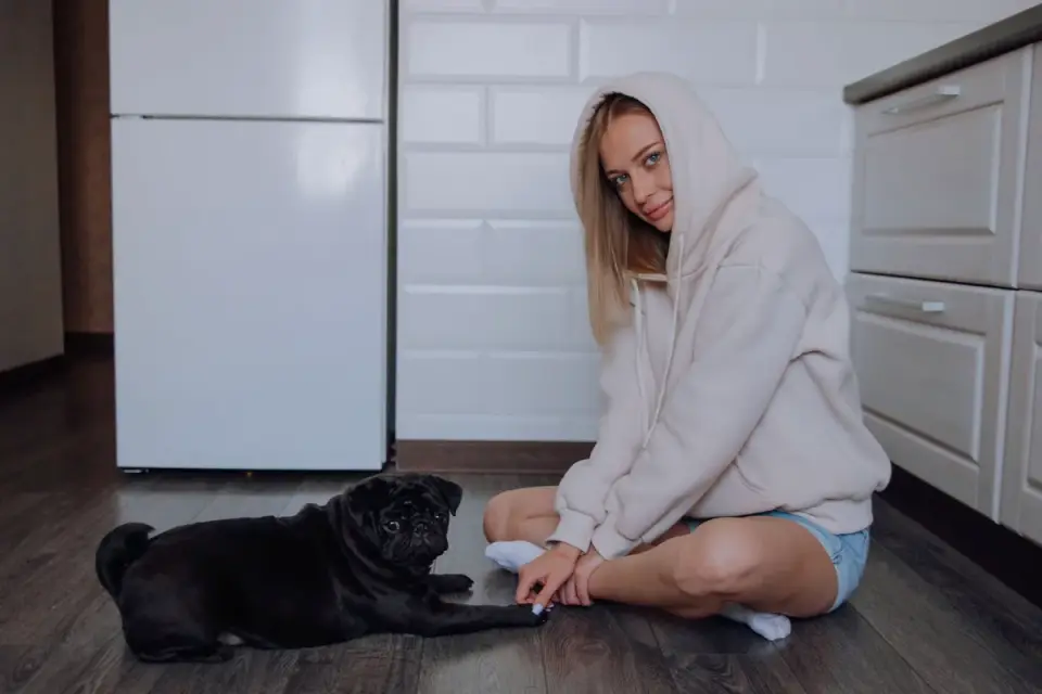 Dog with an owner at home