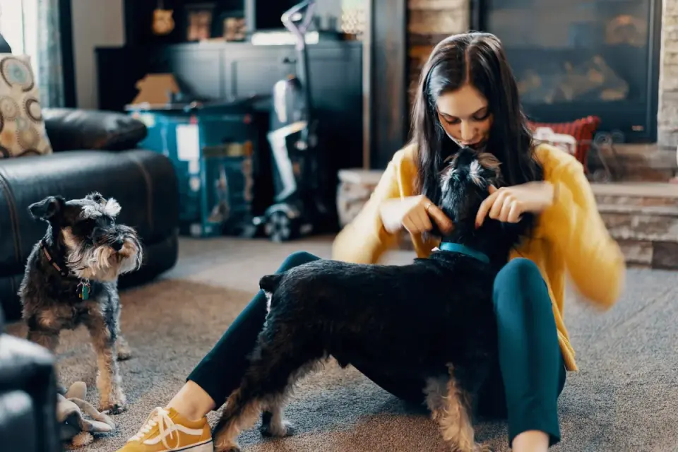 Dog with an owner at home