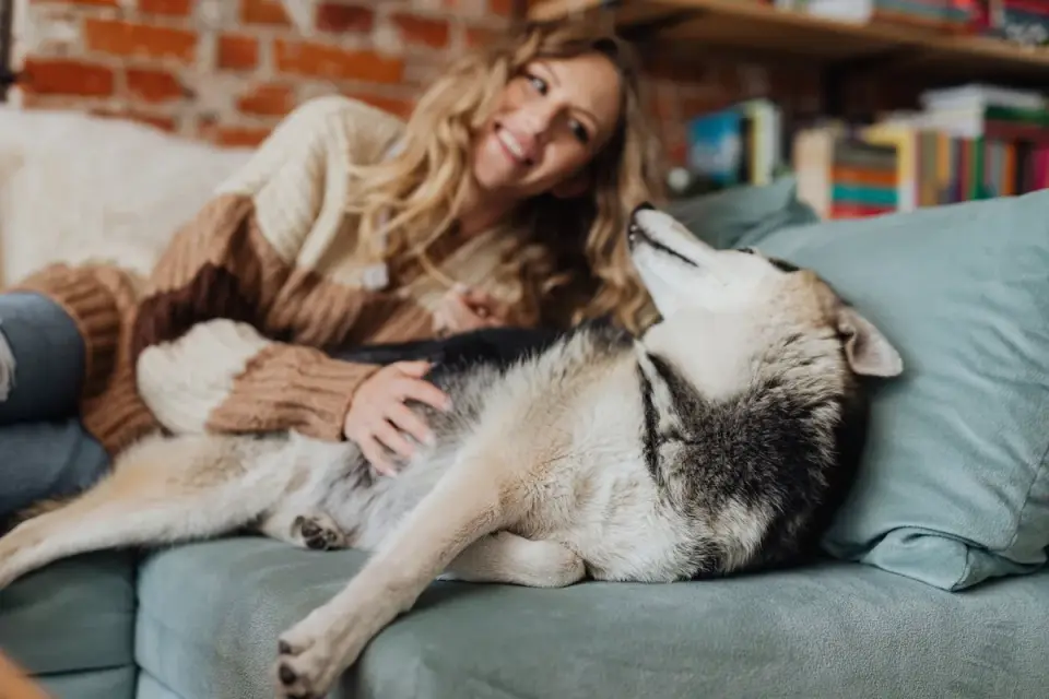 Dog with an owner at home