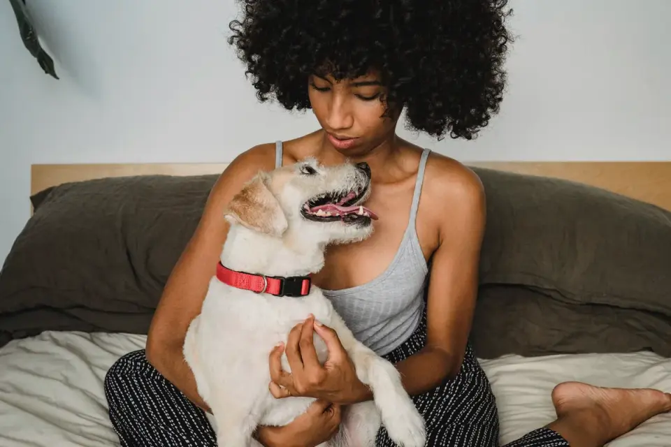 Dog with an owner at home