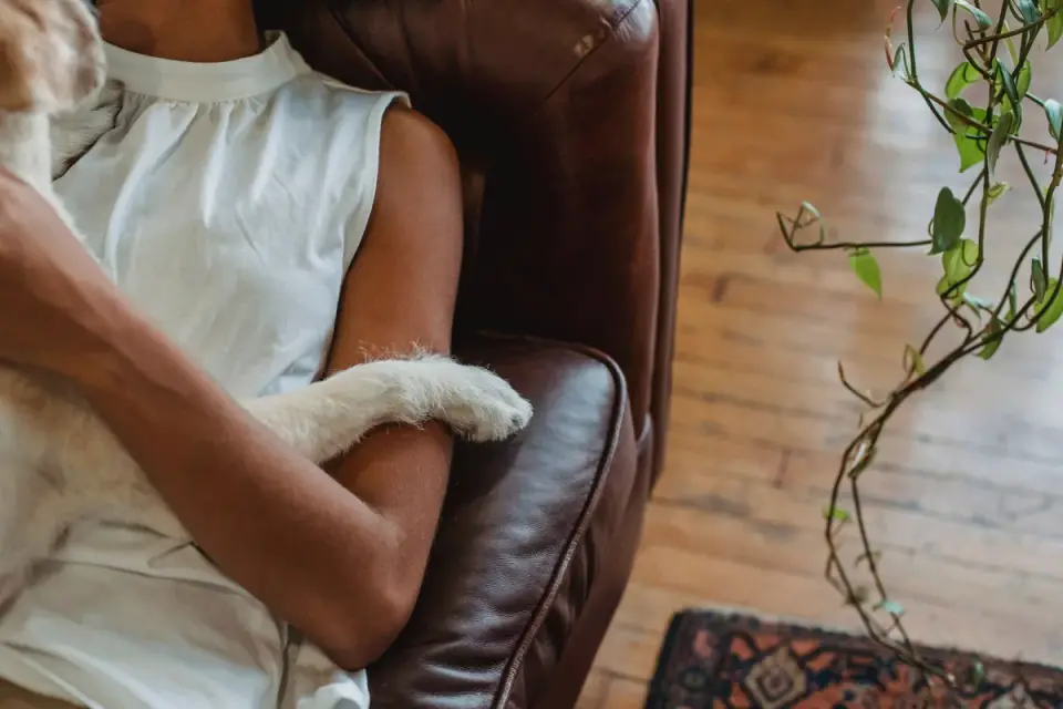 Dog with an owner at home