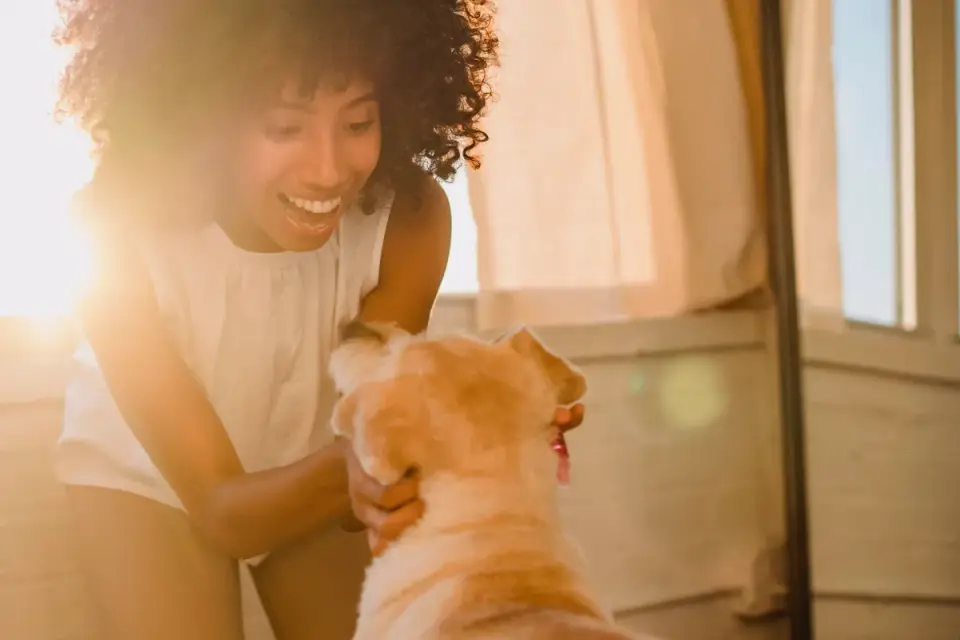 Dog with an owner at home