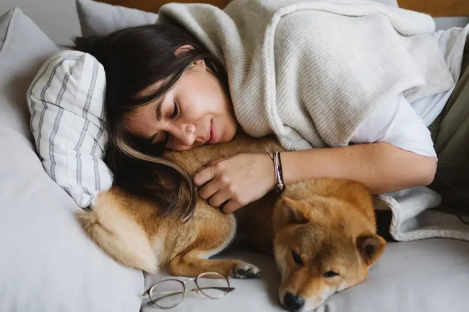 Dog with an owner at home