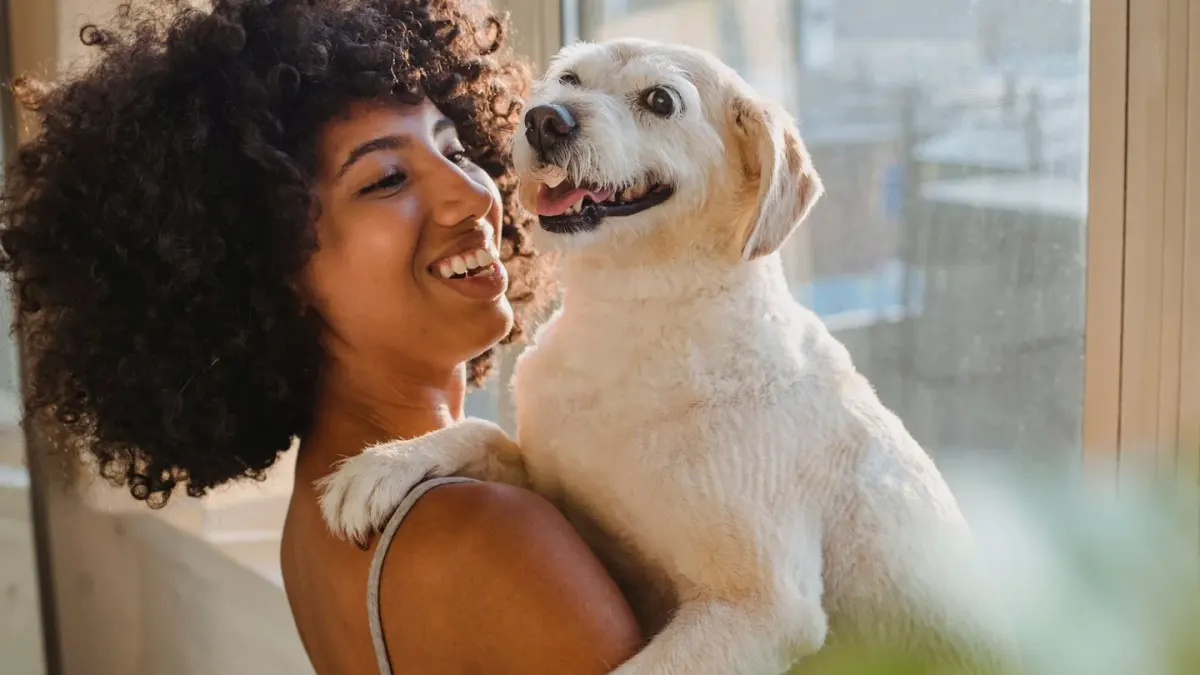 Dog with an owner at home