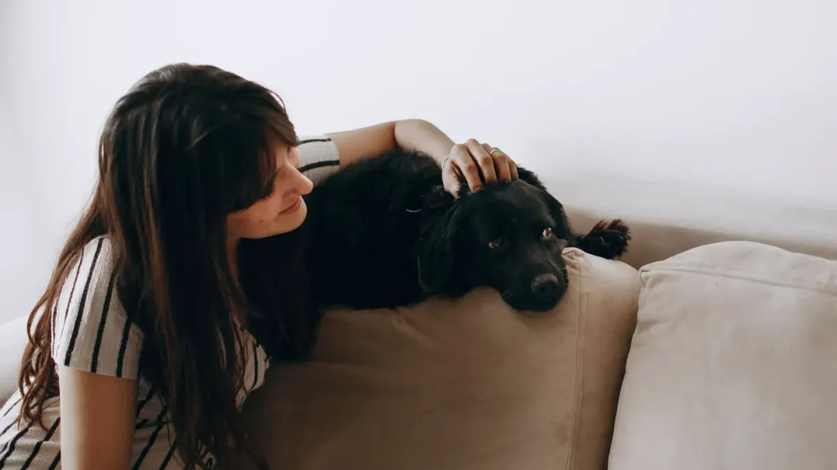 Dog with an owner at home