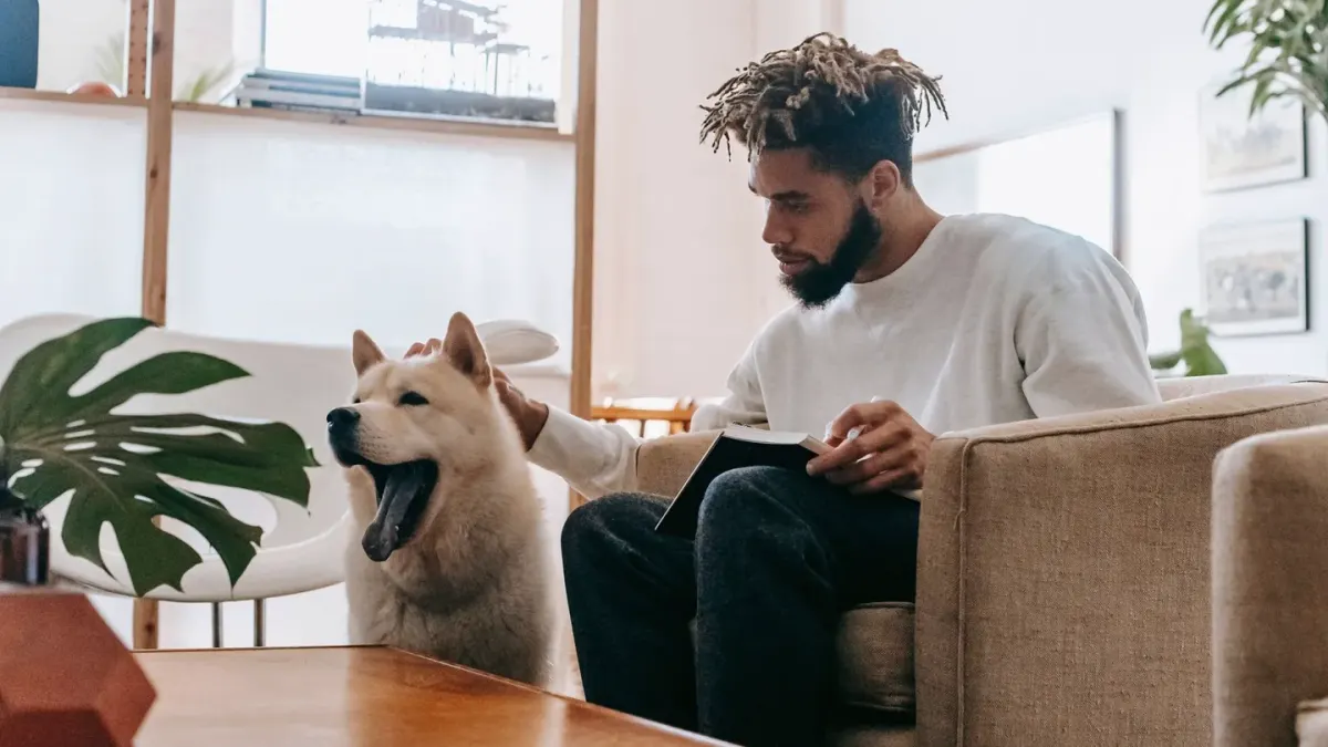 Dog with an owner at home
