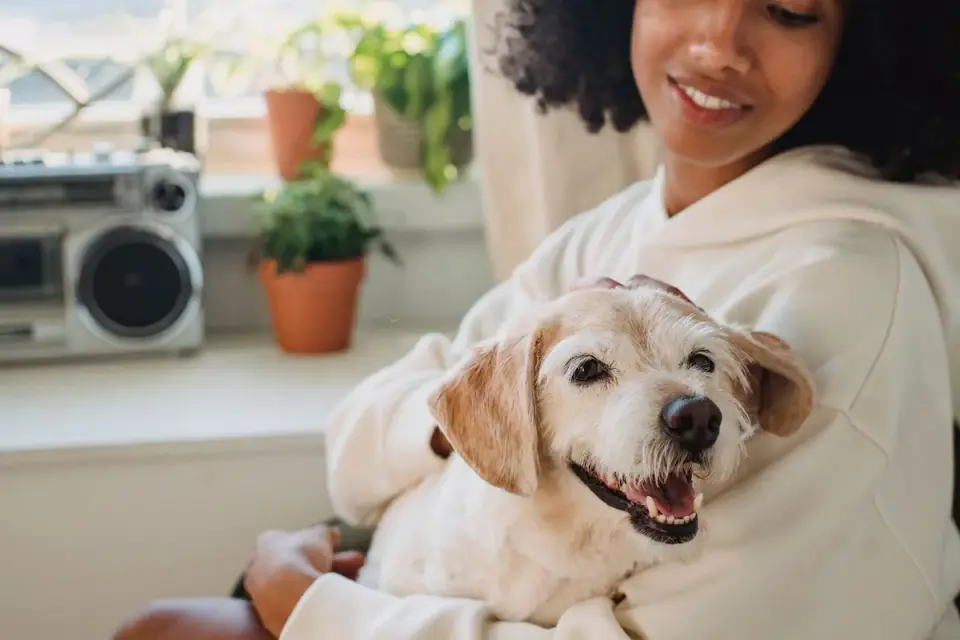 Dog with an owner at home