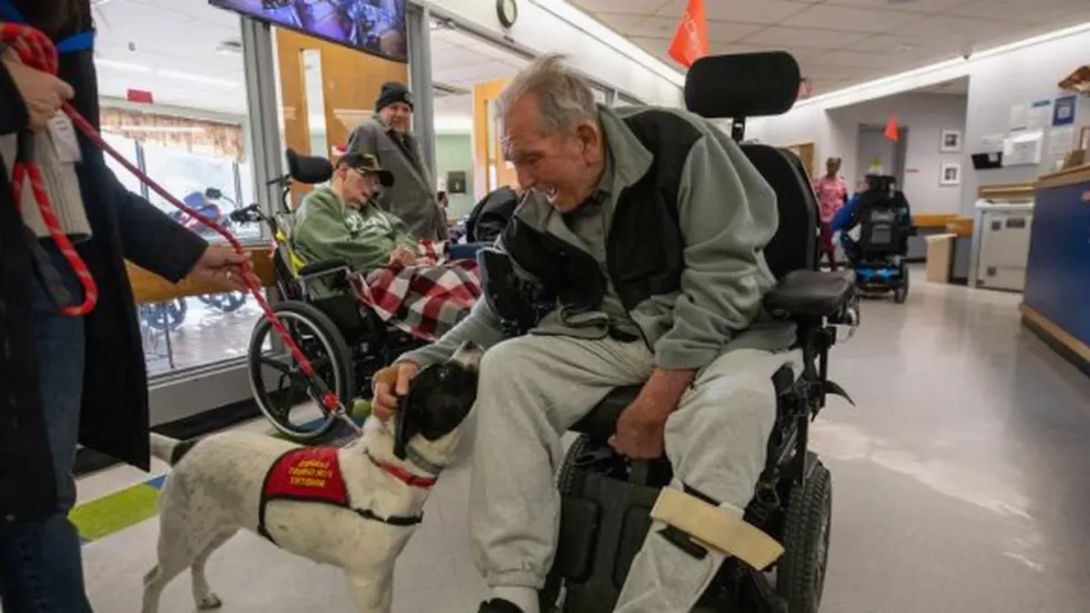 Dog with an owner at home