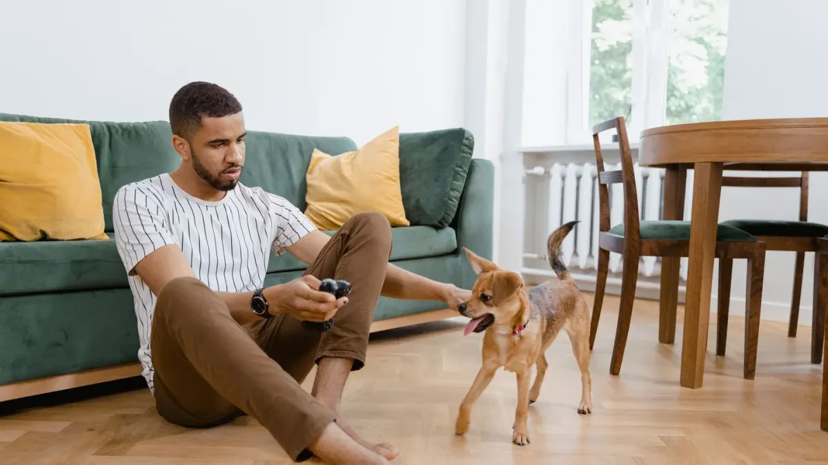 Dog with an owner at home