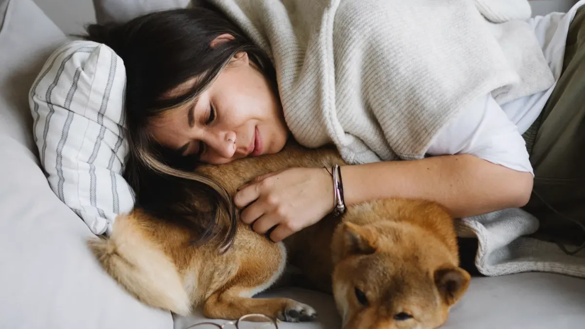Dog with an owner at home