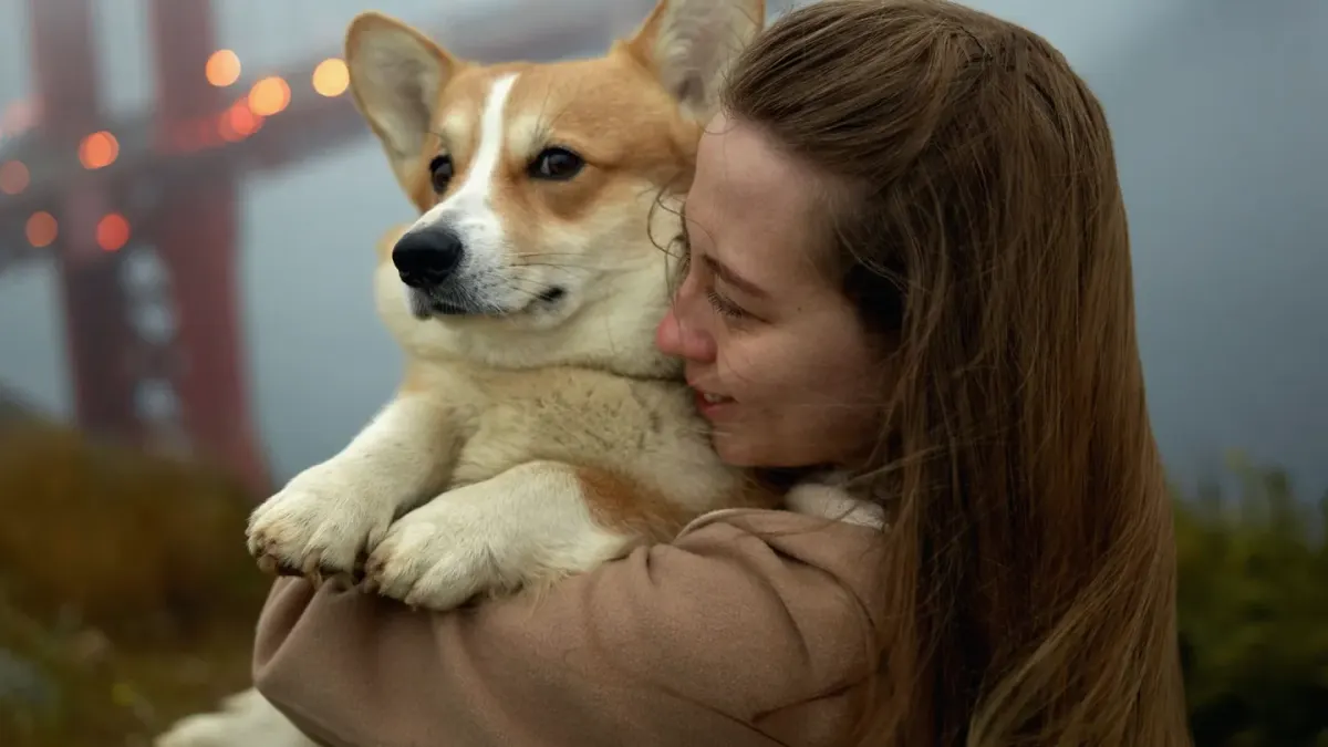 Dog with an owner