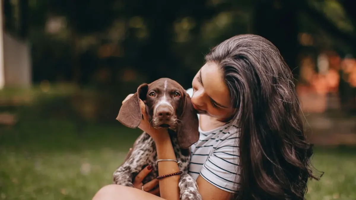 Dog with an owner