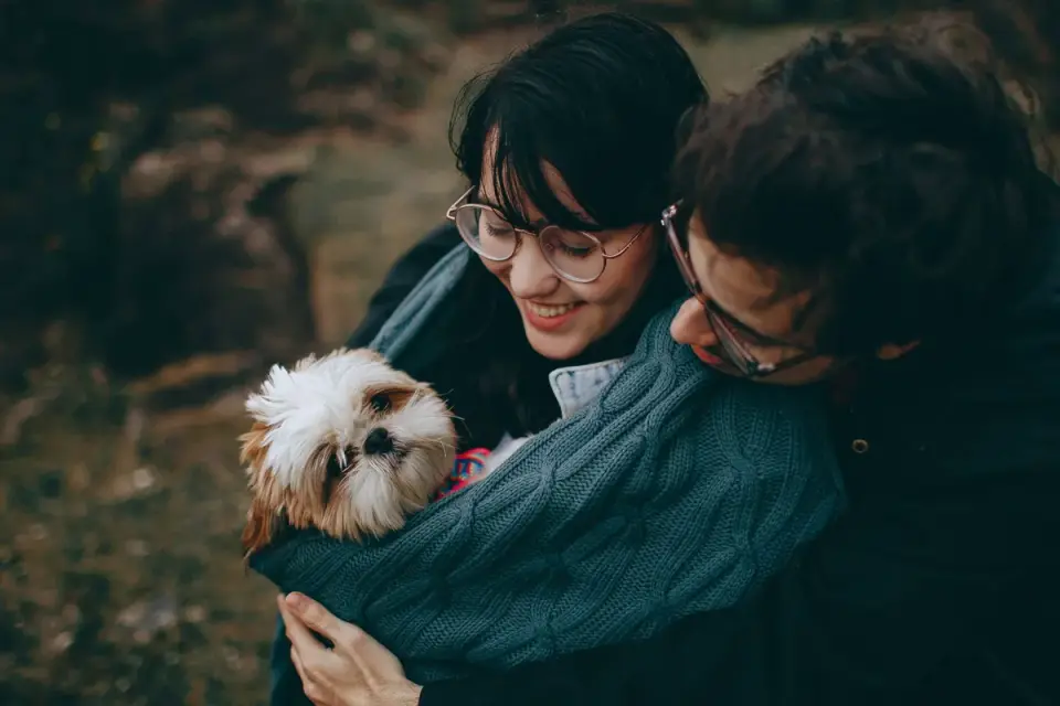 Dog with an owner