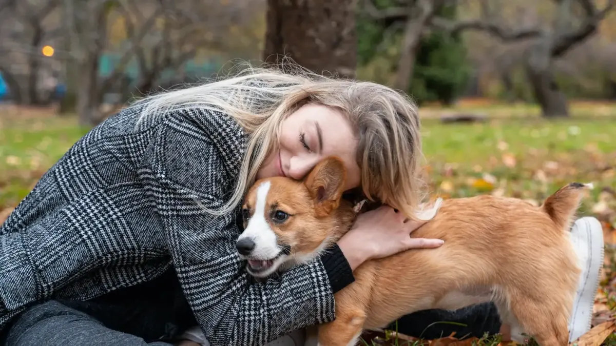 Dog with an owner