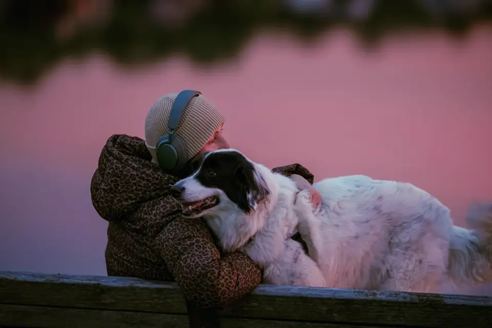 Dog with an owner
