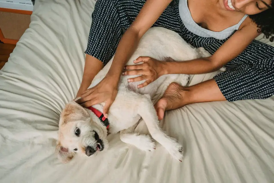 Owner and dog on floor together