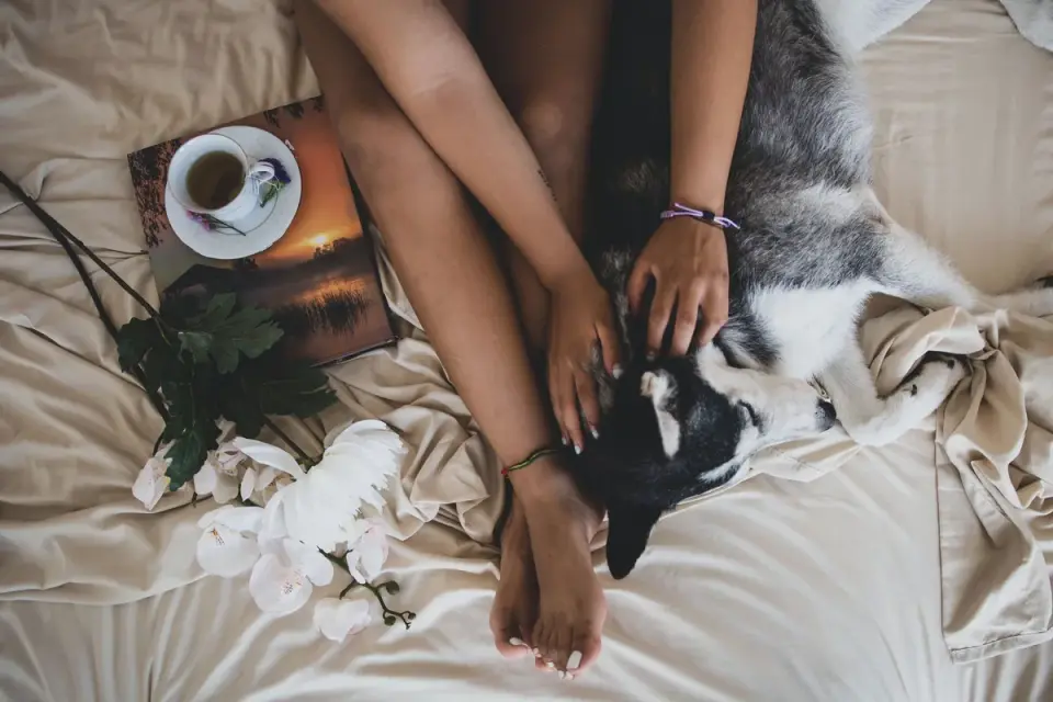 Owner and dog on floor together