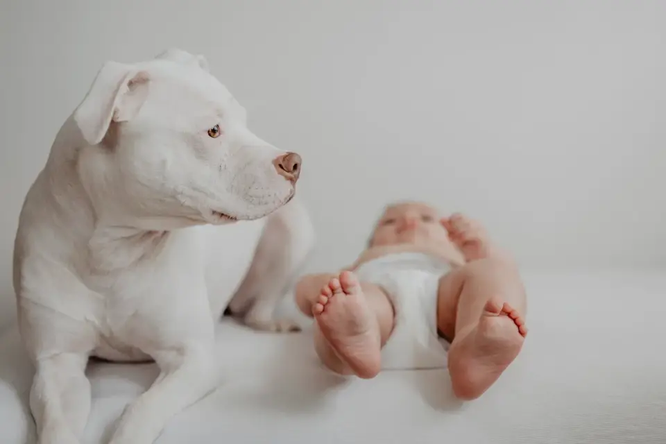 Owner and dog on floor together