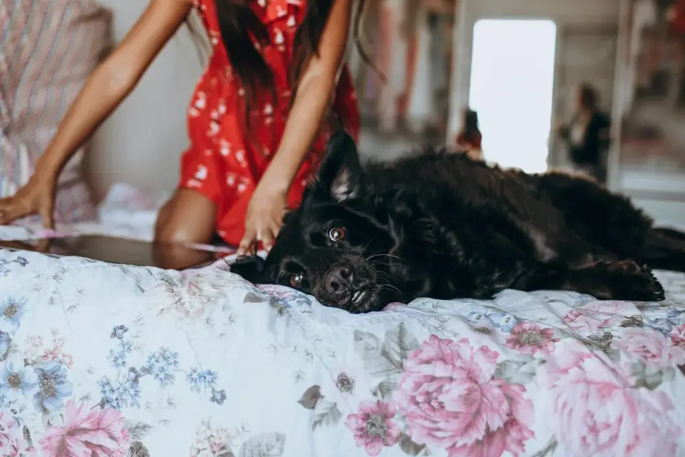 Owner and dog on floor together