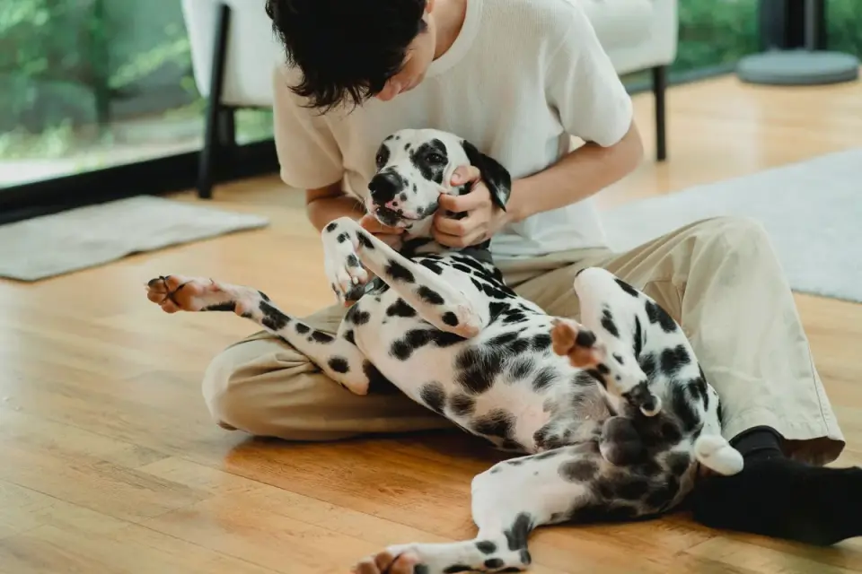 Owner and dog on floor together