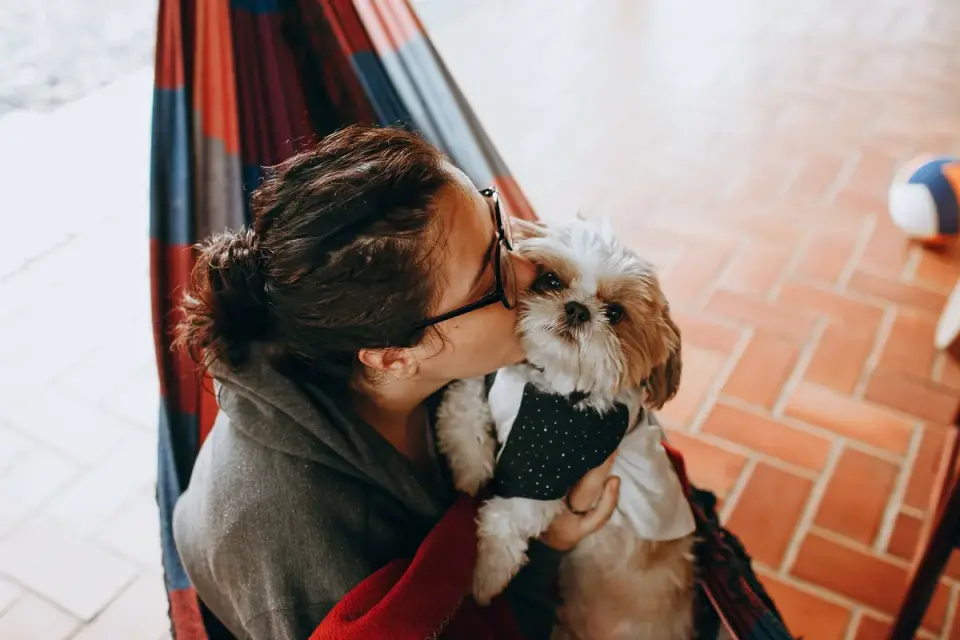 Owner and dog together