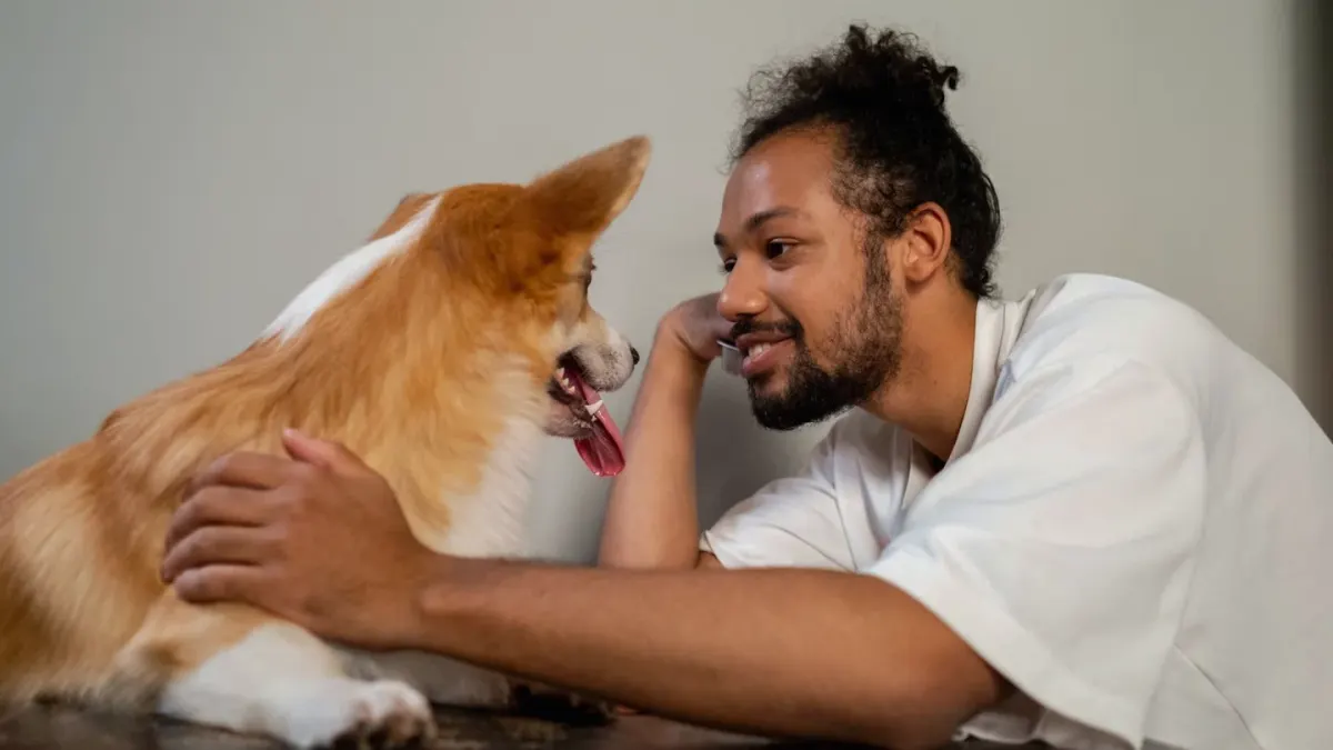 Owner and dog together