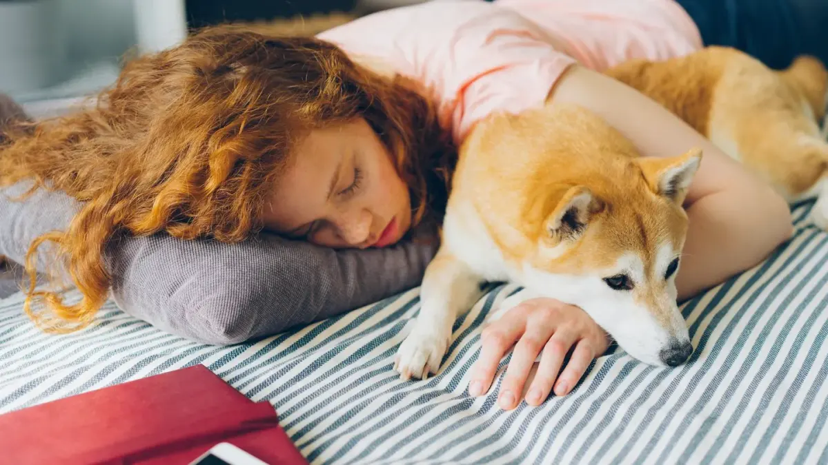 Owner and dog together