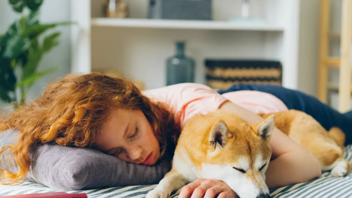 Owner and dog together