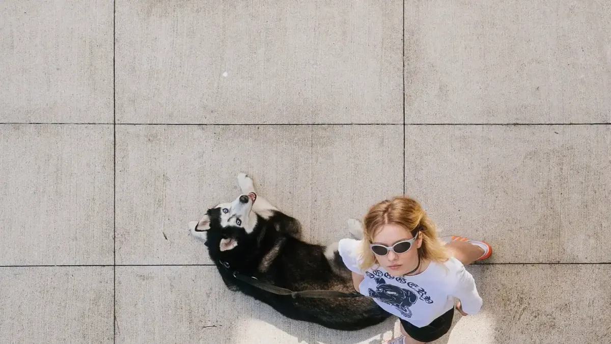 Owner and dog together
