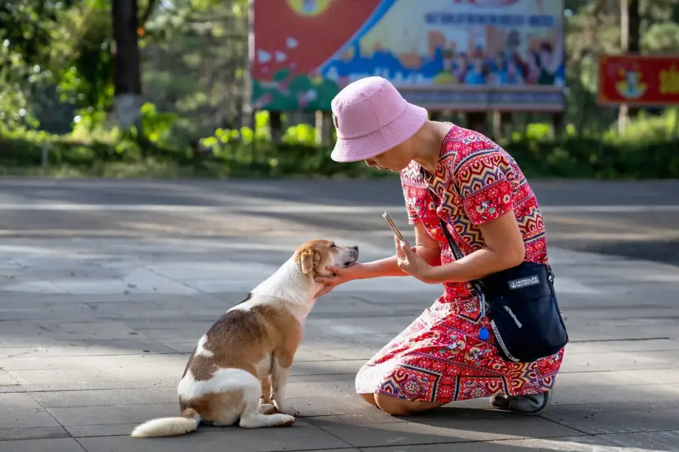 Owner and dog together