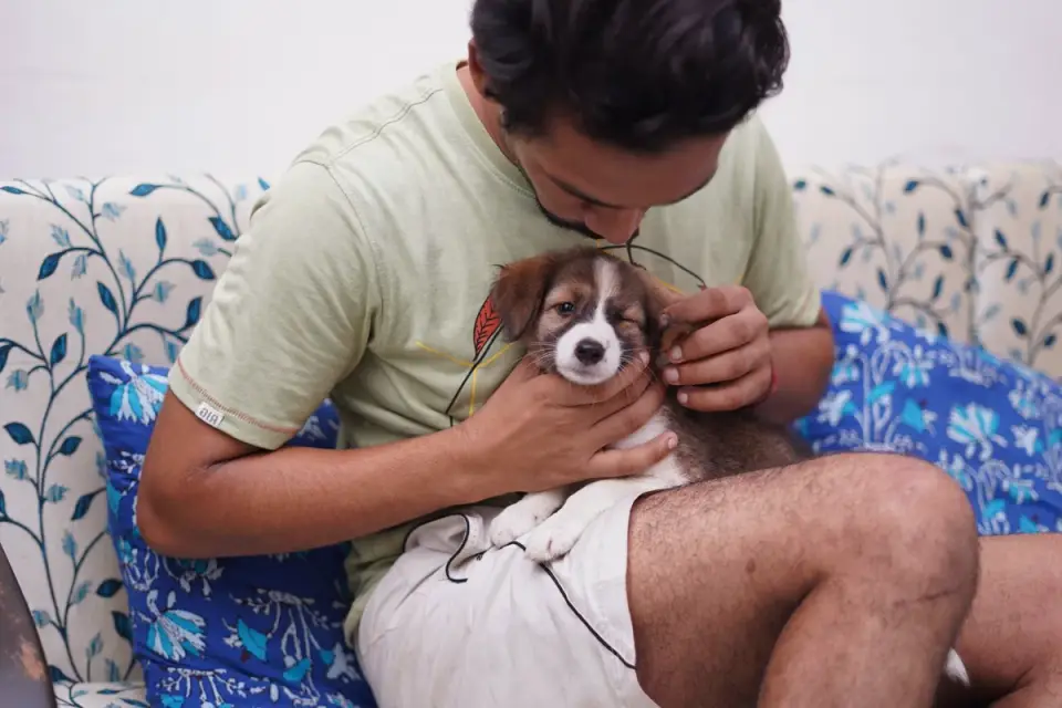 Owner carrying a sleepy puppy outside in the dark for a nighttime bathroom break
