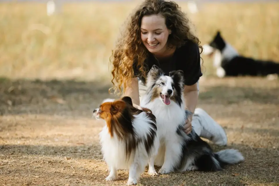 Owner giving a hand signal to a senior dog outdoors